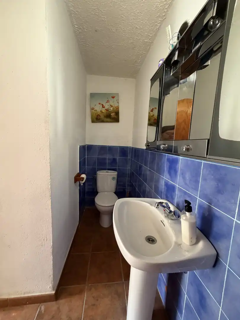 Baño de Casa o chalet en venta en Cabreros del Río con Calefacción