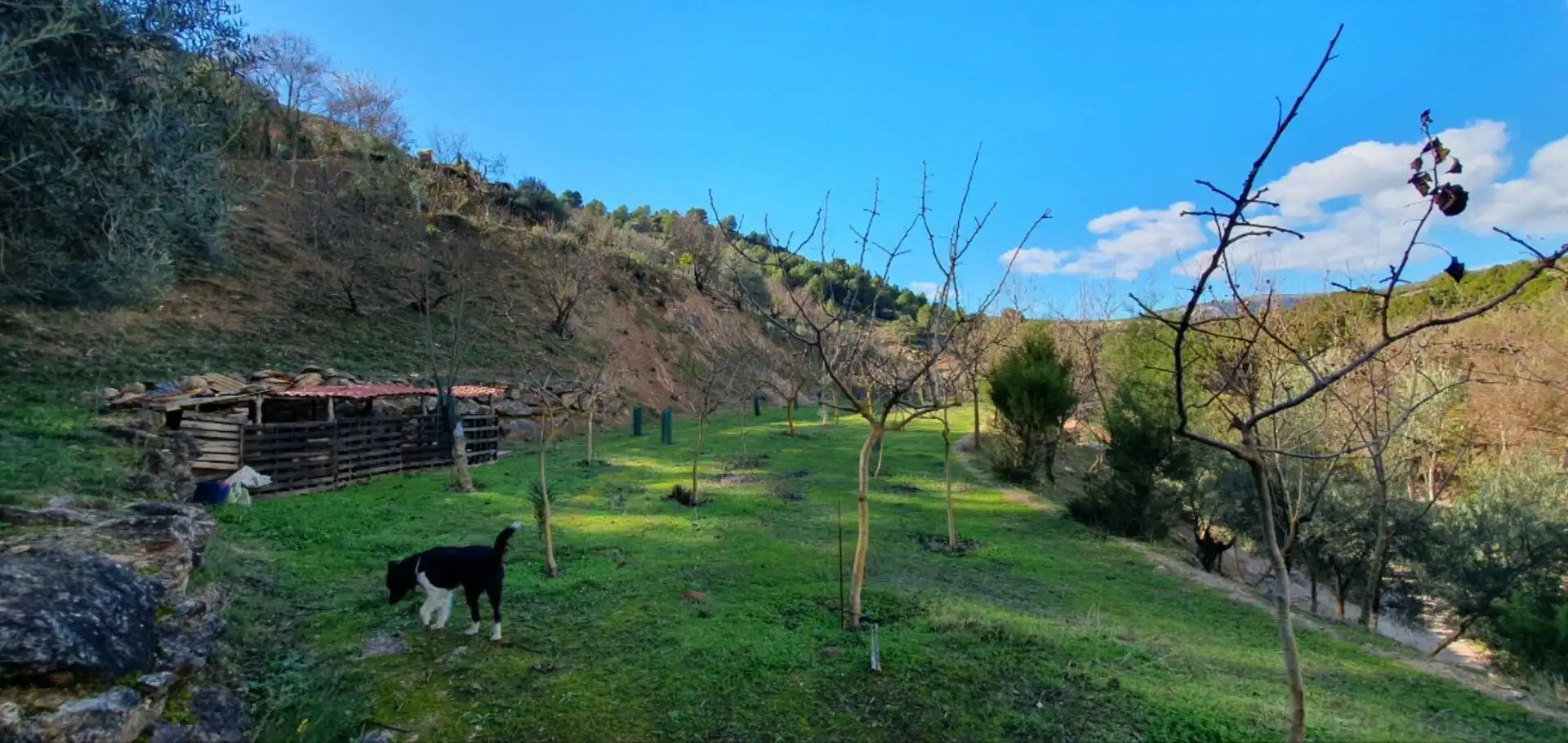 Finca rústica en venda en El Burgo amb Calefacció, Jardí privat i Traster