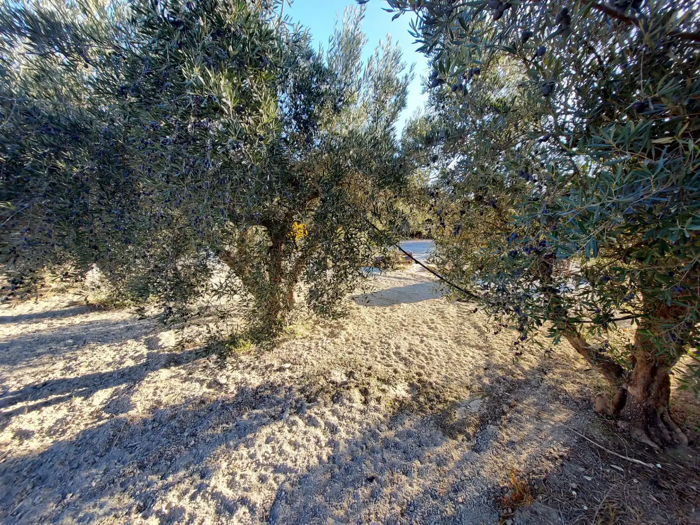 Finca rústica en venta en Calasparra con Jardín privado y Piscina