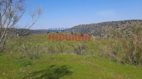 Photo 4 of House or chalet for sale in Calle Monton, -1, Valdelacasa de Tajo, Cáceres
