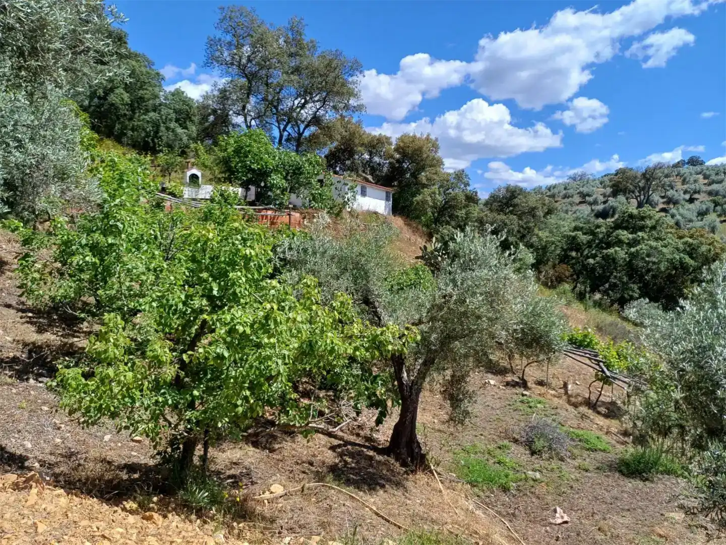 Garten von Grundstücke zum Verkauf in Castañar de Ibor