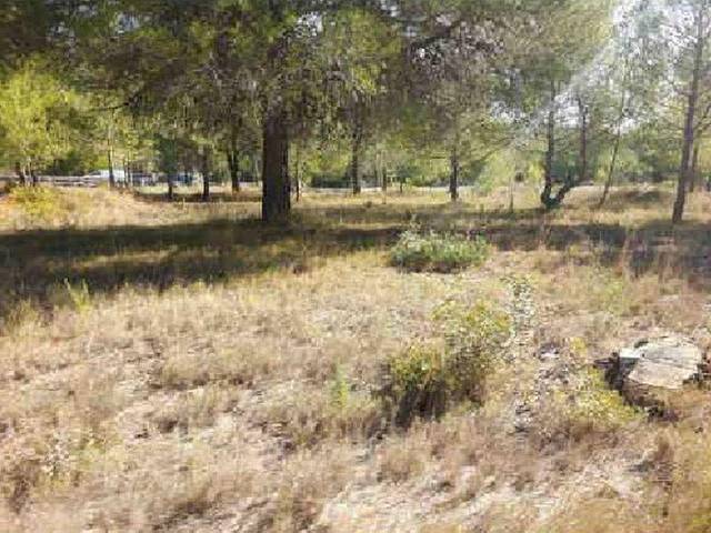 Terreno en Venta en Pla Y Sarva, S/N en Estivella