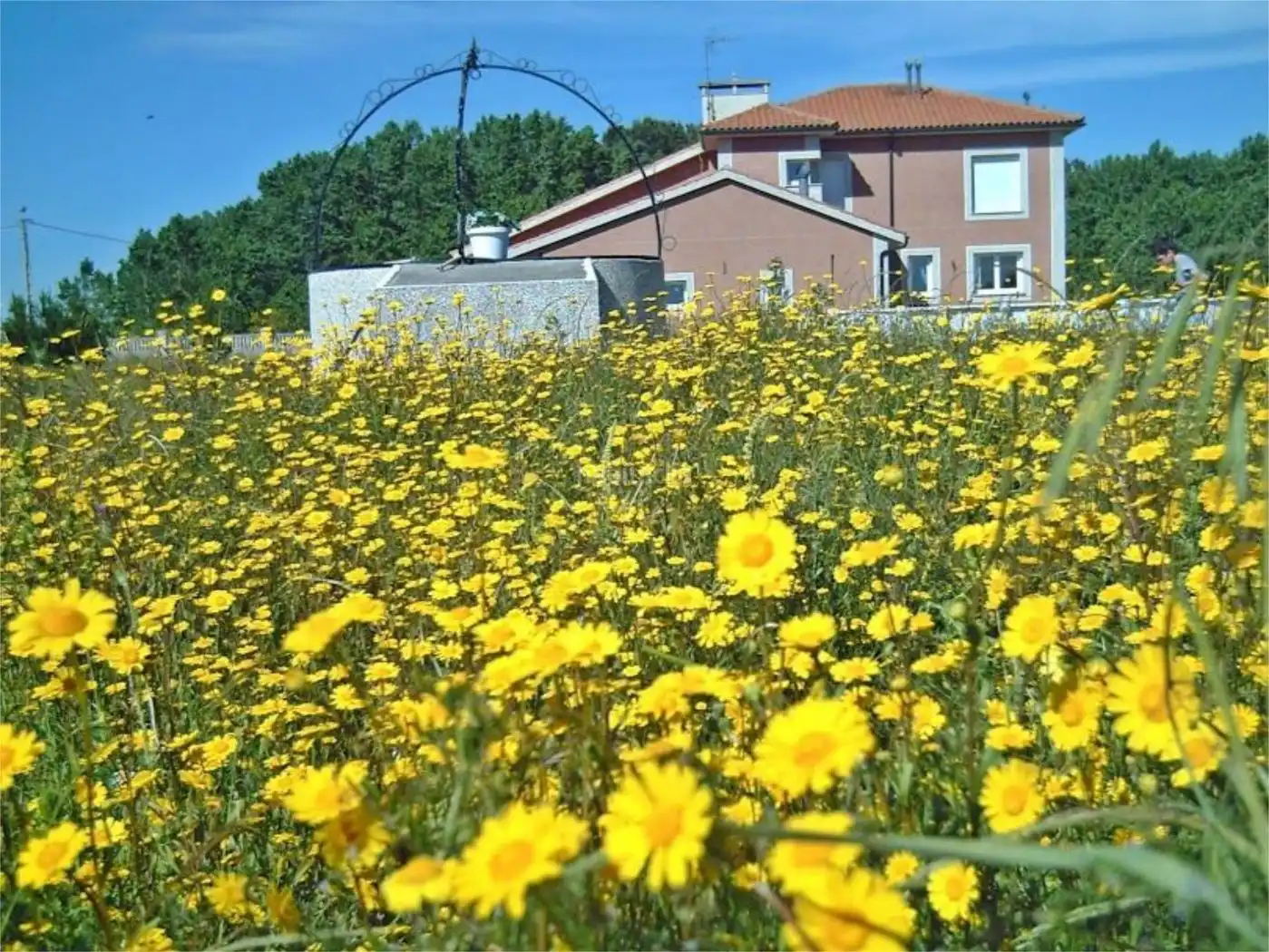 Haus zum Verkauf in Estrada a Vide 10, imagen 17