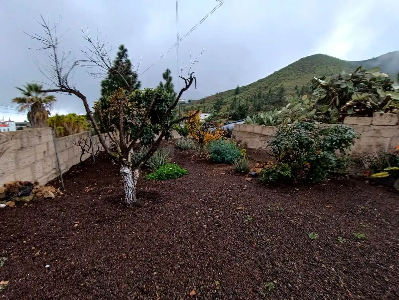 Finca rústica en venta en Granadilla de Abona