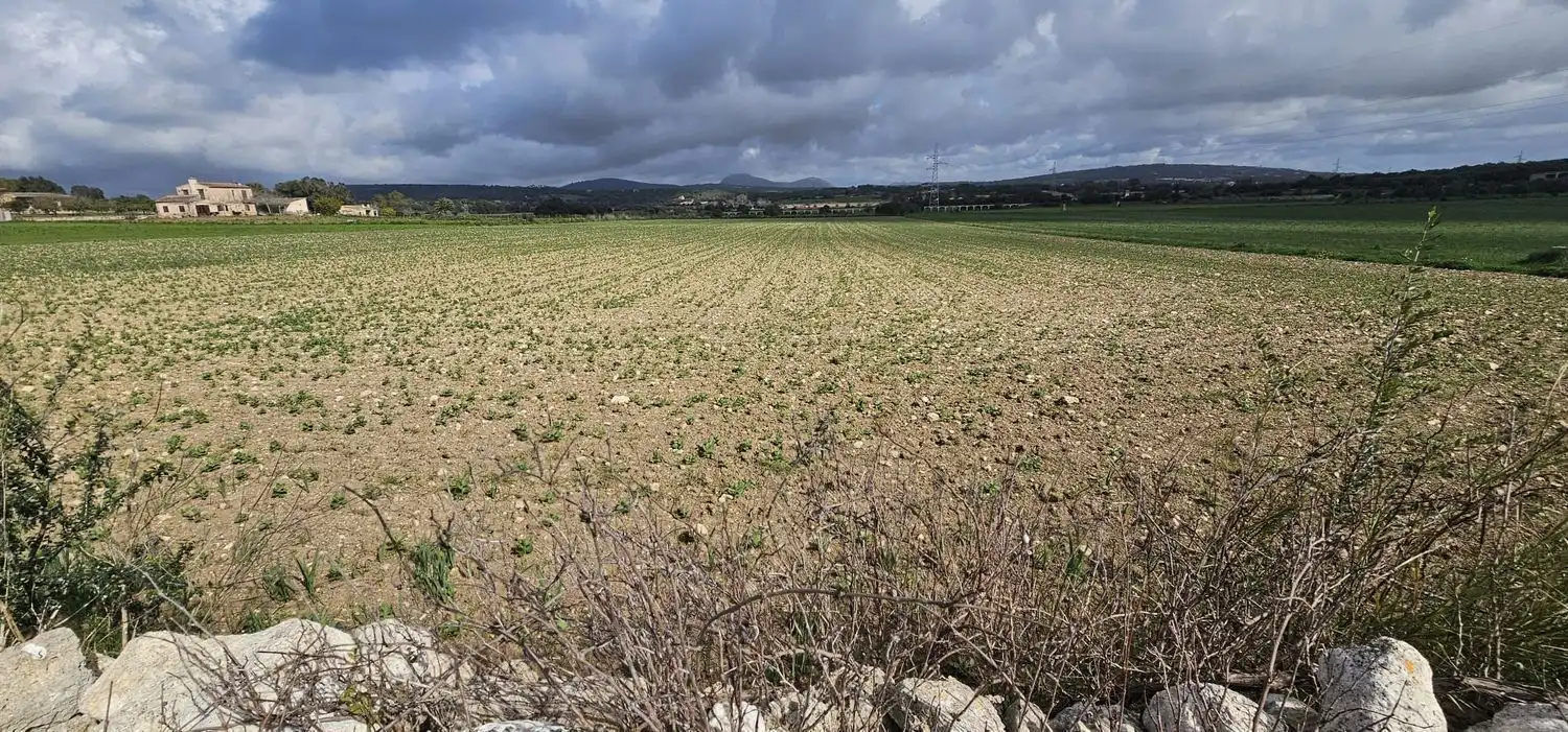 Maison rustique à vendre à Manacor Centre, imagen 8