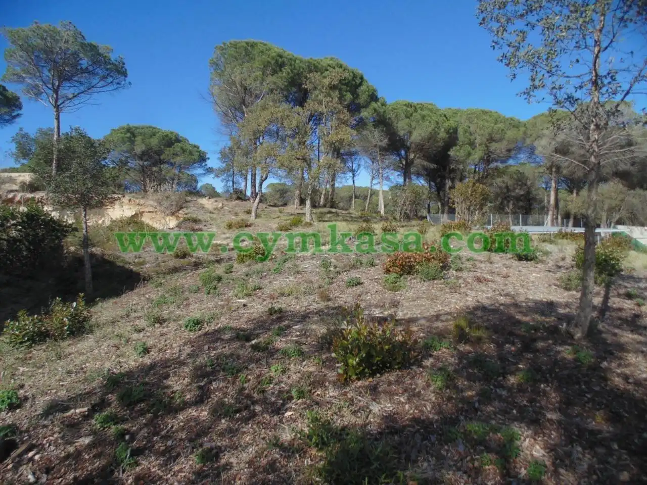 Rural land for sale in Sils, imagen 3