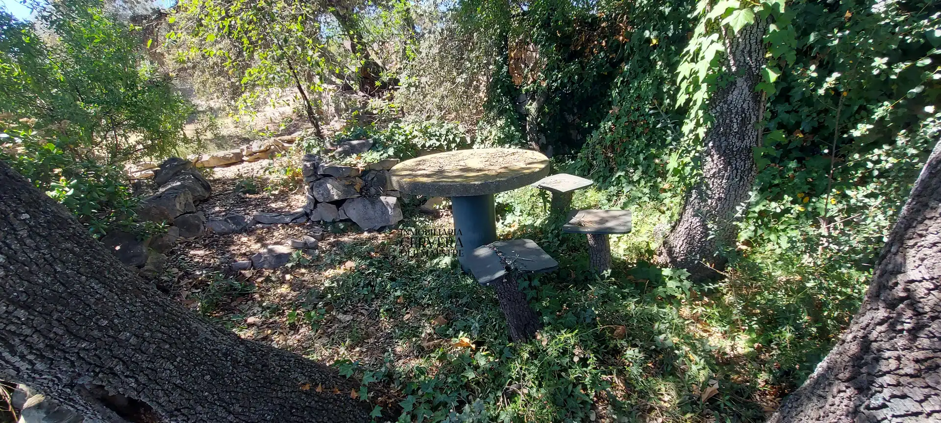 Terreno rustico in vendita a Cervera del Maestre, imagen 20