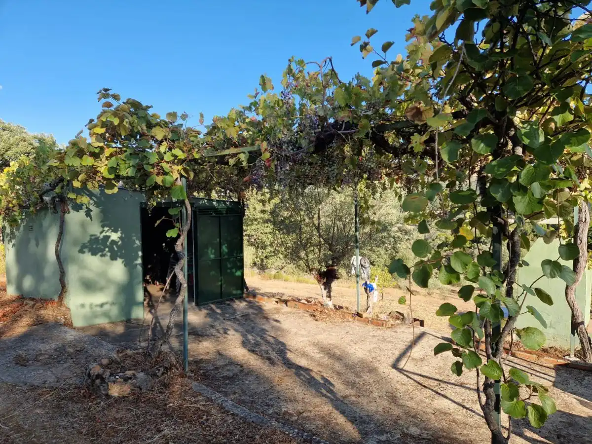 Terreni e lotti in vendita a Finca Las Huertas, puerta, imagen 5