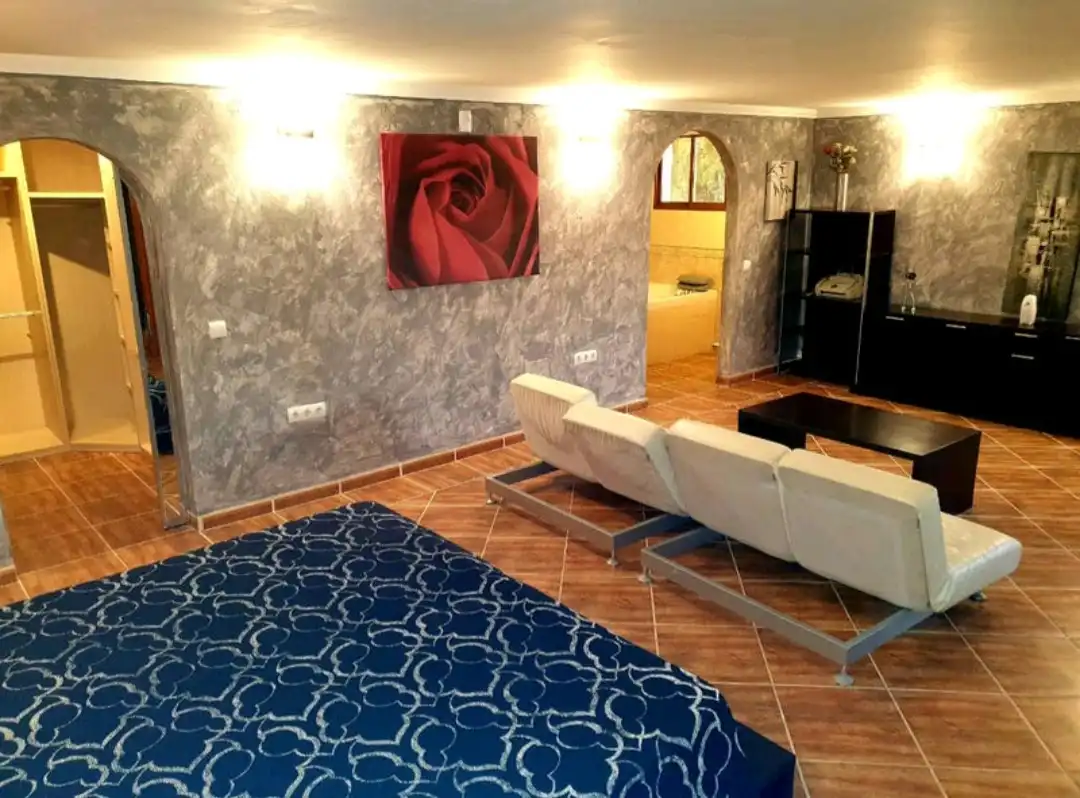 Sala de estar de Estudio de alquiler en Marbella con Amueblado