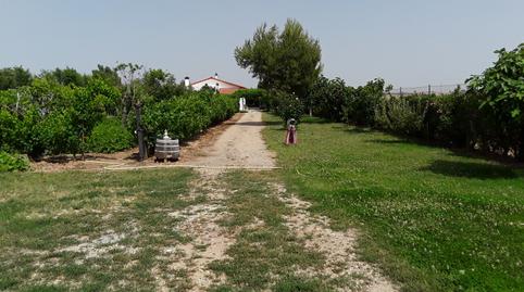 Foto 3 de Casa o xalet en venda a Fuente El Saz de Jarama, Madrid