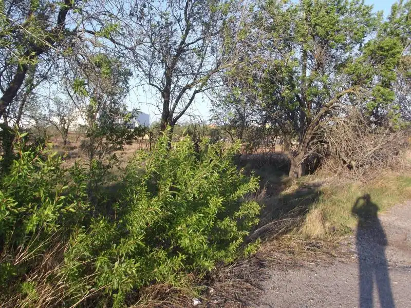 Terreny rústic en venda a PARCELA, imagen 3