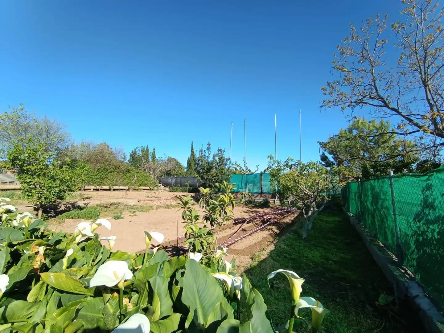 Finca rústica en venta en Monzón con Calefacción, Jardín privado y Terraza