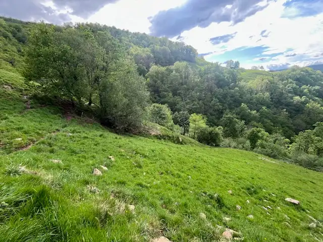 Finca rústica en venda en Vega de Pas