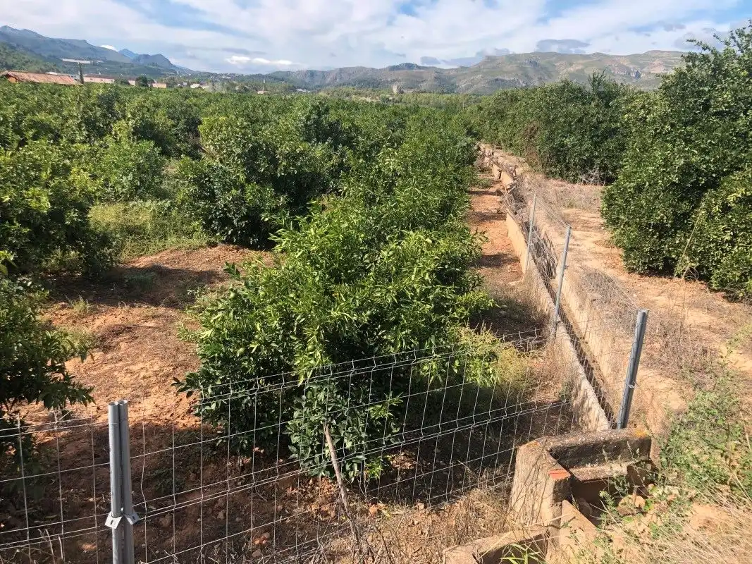 Terreny rústic en venda a Palma de Gandia, imagen 18