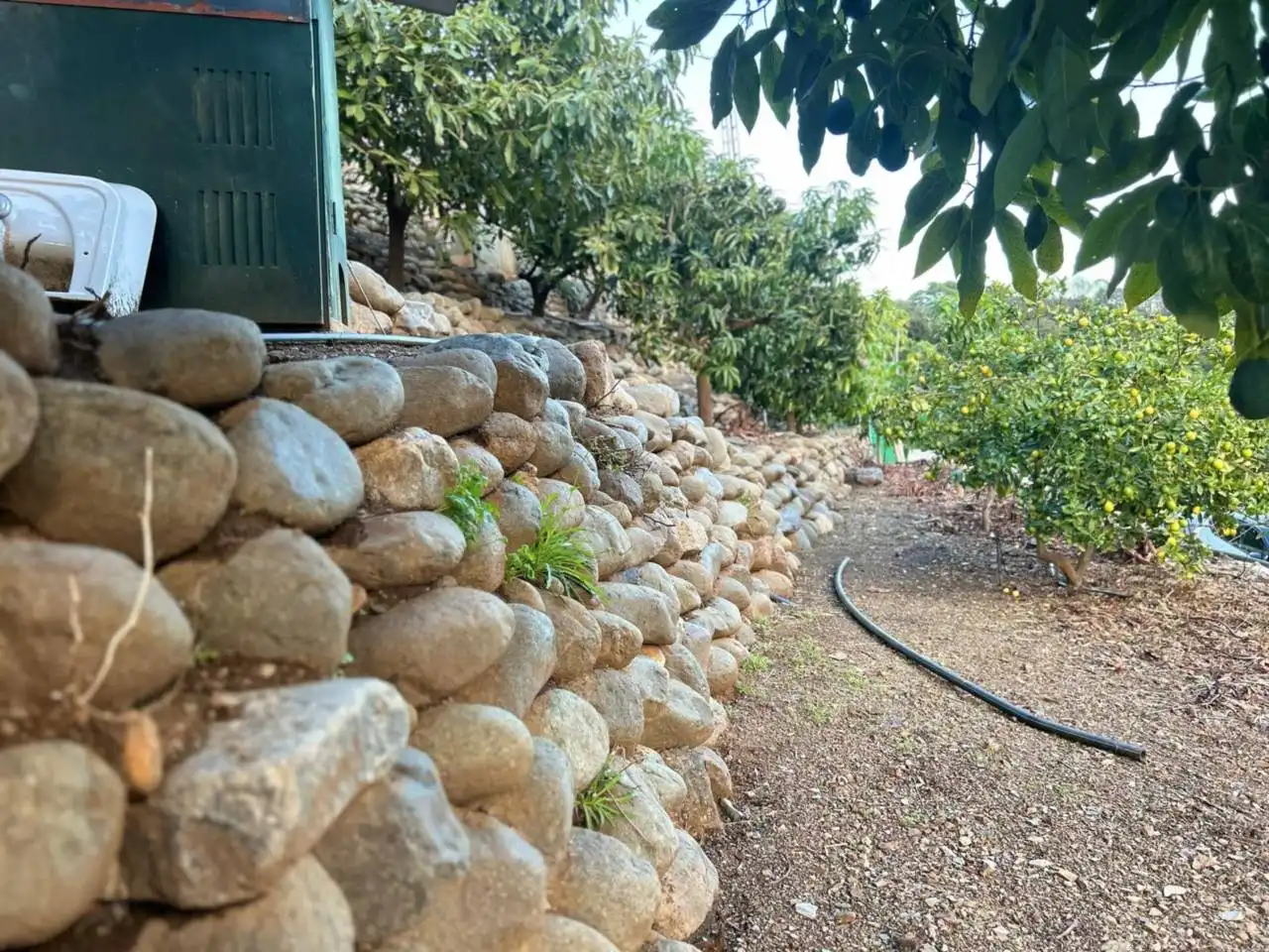 Jardí de Finca rústica en venda en Estepona amb Aire condicionat, Calefacció i Jardí privat
