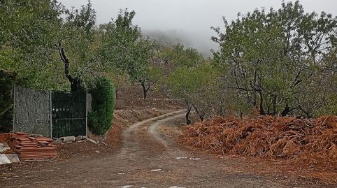 VENTA EN SIERRO  ALMERÍA  DE TERRENO PARA CAZA., immagine 4