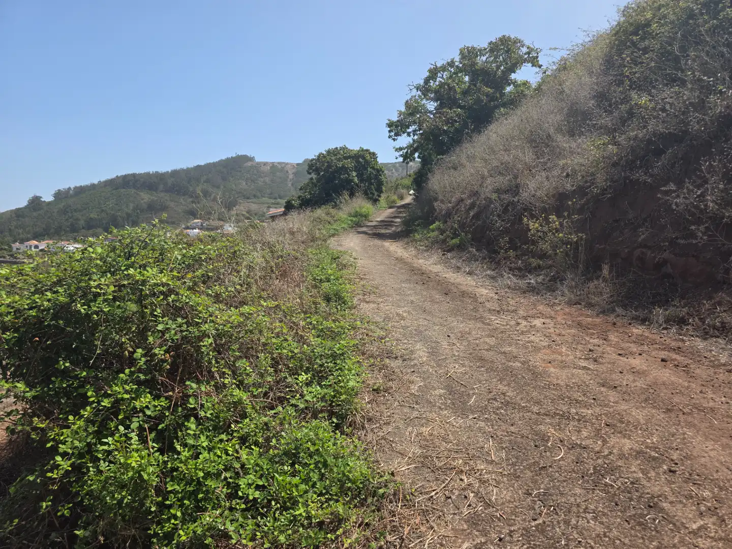 Rural land for sale in Camino las Peñuelas 11, imagen 43