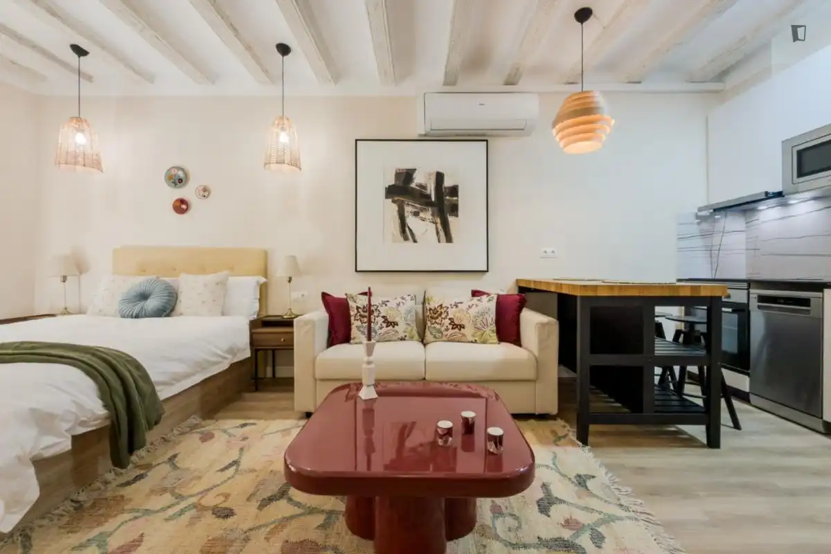 Sala de estar de Estudio de alquiler en Barcelona con Aire acondicionado, Calefacción y Amueblado
