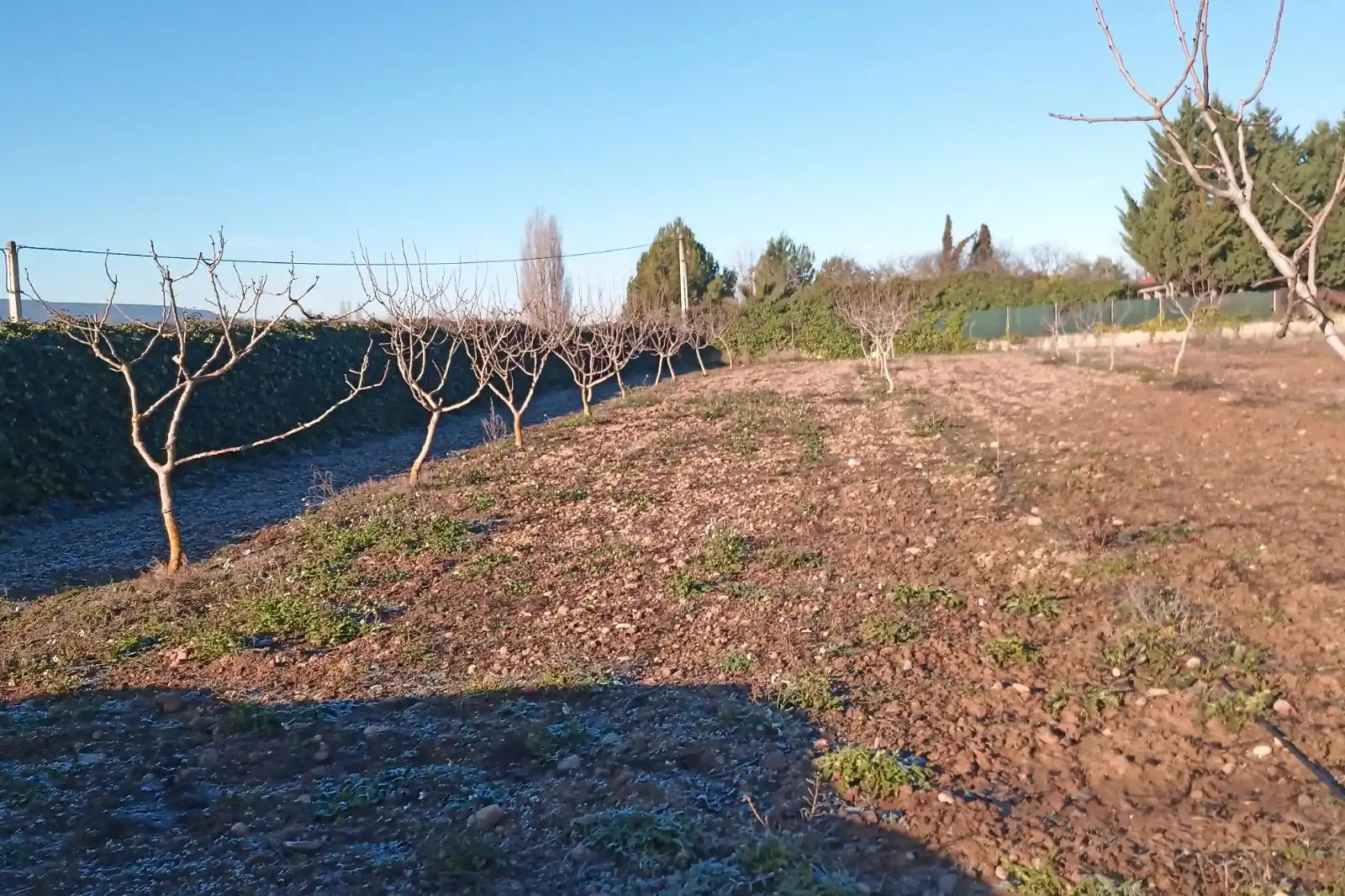 Xalet en venda a Lardero, imagen 4