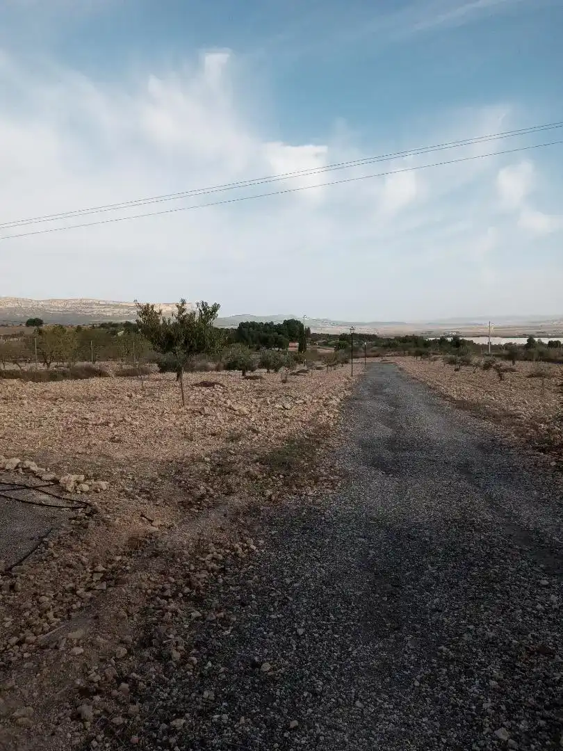 Casa o chalet en venta en Almansa con Piscina