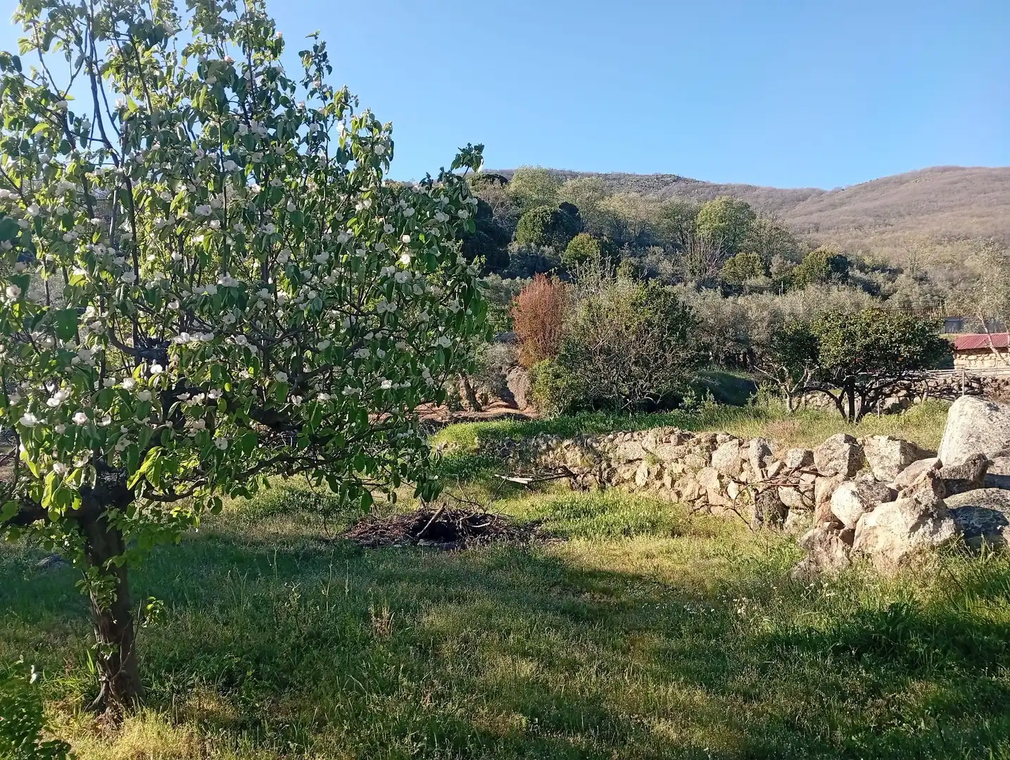 Terreno en venta en Valverde de la Vera