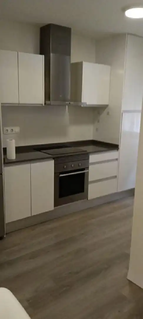 Kitchen of Flat for rent in Elche / Elx  with Parquet flooring, Oven and Washing machine