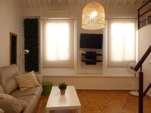 Sala de estar de Apartamento de alquiler en Málaga Capital con Aire acondicionado, Amueblado y Lavadora