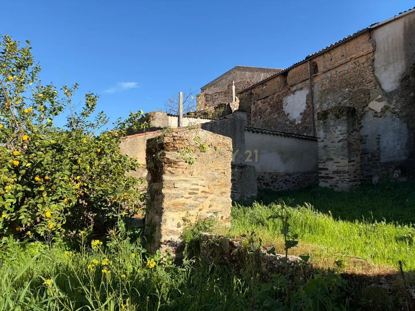 Vista exterior de Casa o chalet en venta en Jaraicejo con Jardín privado, Trastero y Balcón