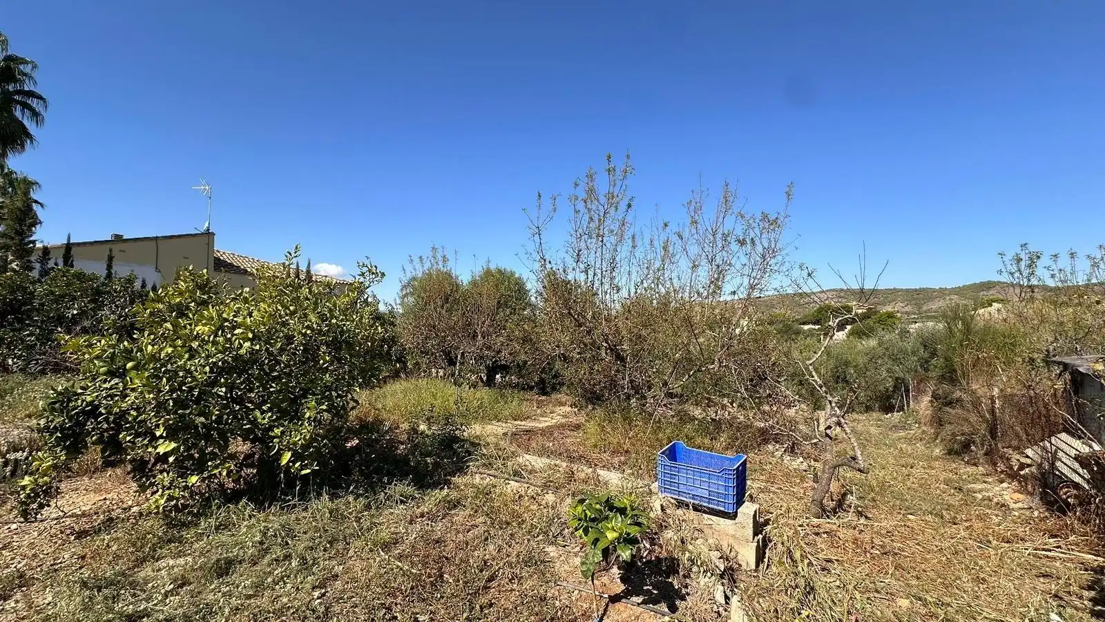 Chalet con piscina en venta en Alfarb, imagen 52