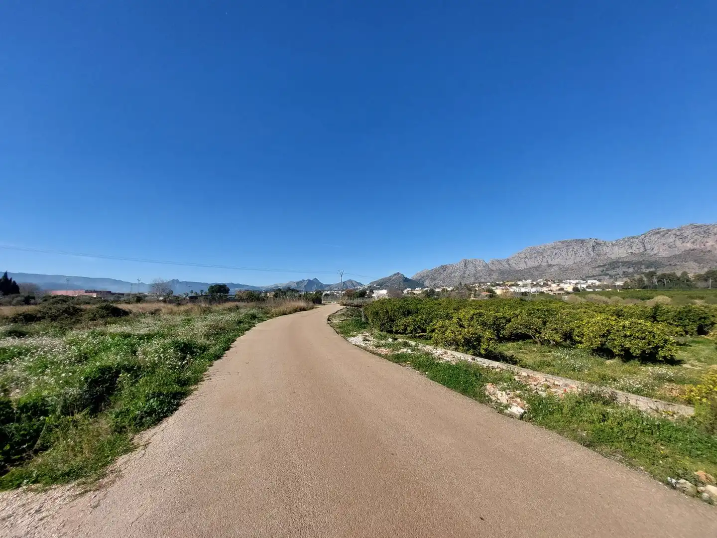Rural land for sale in Beniarbeig, imagen 8