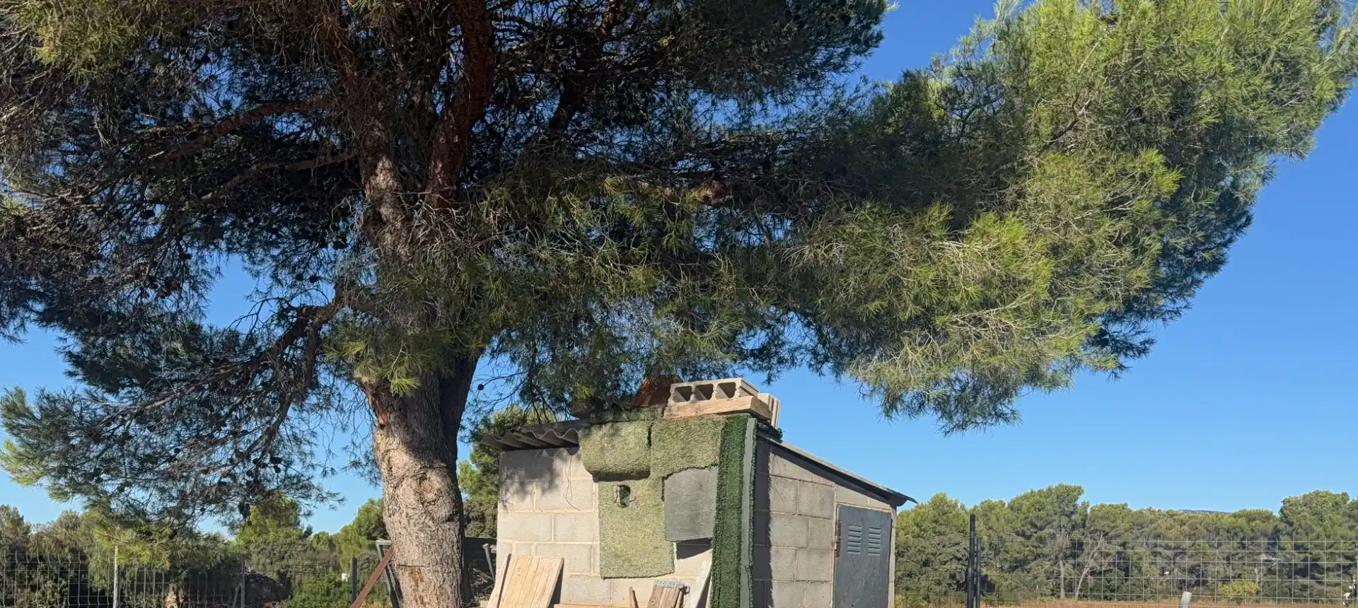 Exterior view of Land for sale in El Pla de Santa Maria