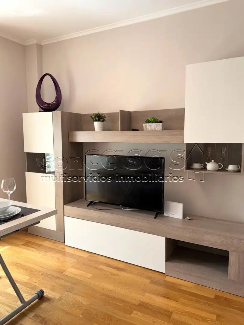 Sala d'estar de Apartament de lloguer en Madrid amb Aire condicionat, Calefacció i Piscina