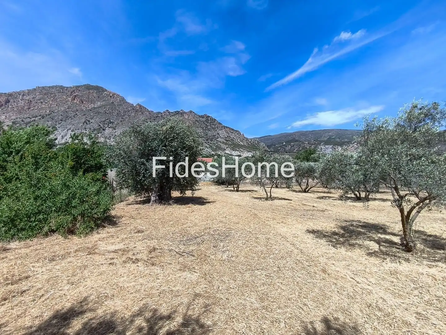 Rural land for sale in XFJ3+526 Nigüelas 0, imagen 10