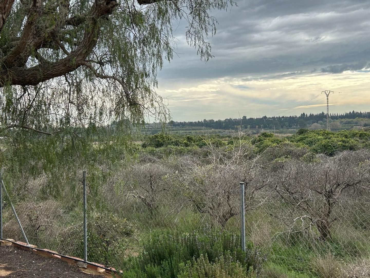 Casa o xalet en venda en Torrent