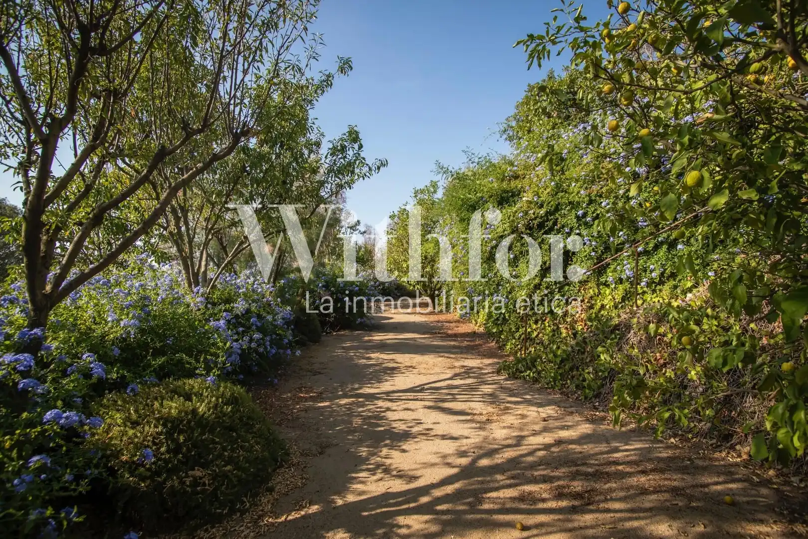 Chalet en venta en Les Corts, imagen 17