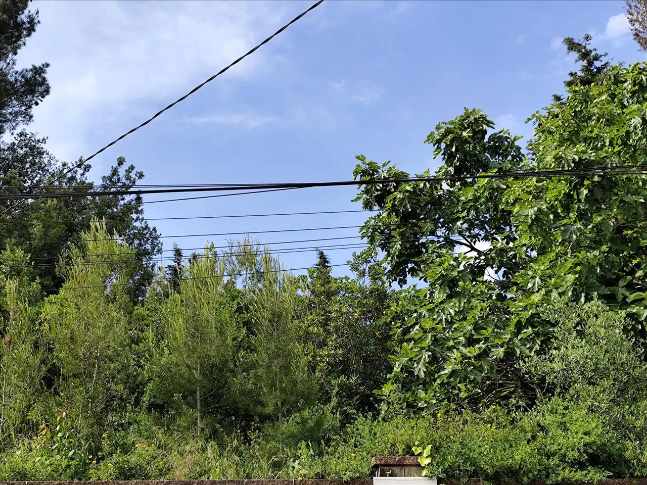 Terreni e lotti in vendita a Bosc, 50, imagen 7