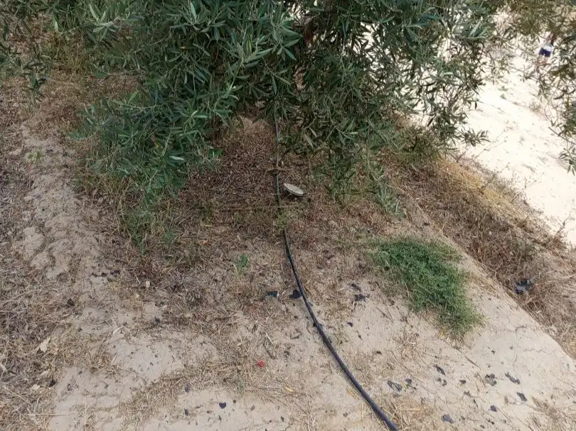 Terreno en venta en Lorca