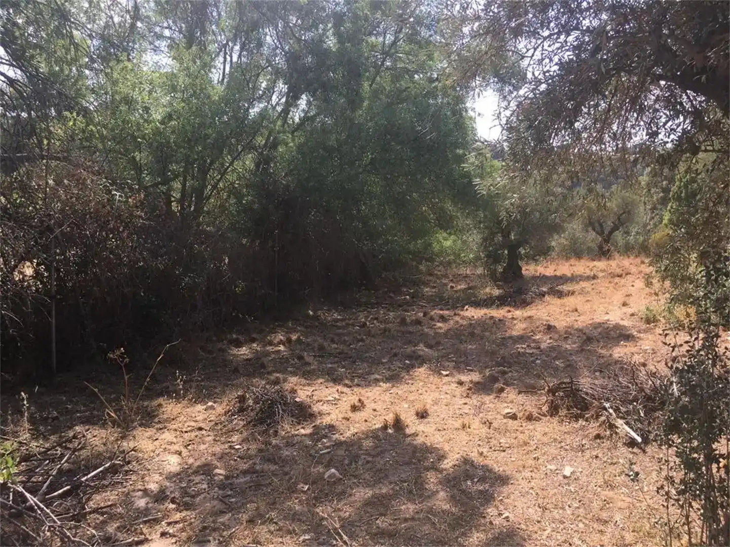 Land for sale in Hontanar