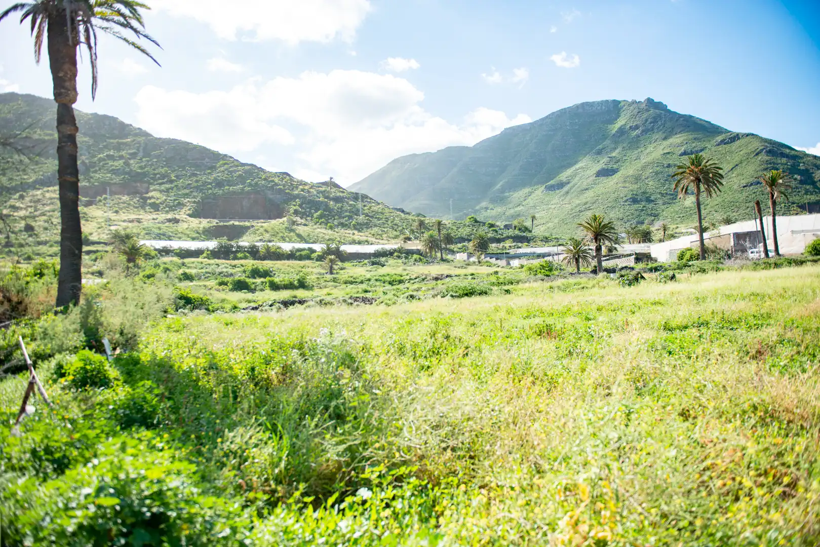 Land for sale in San Cristóbal de la Laguna