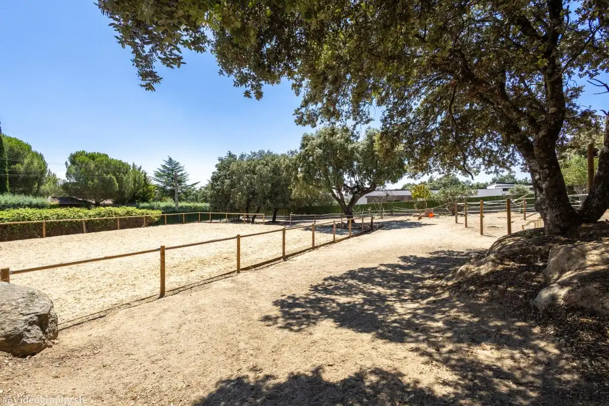 Vista exterior de Casa o chalet en venta en El Escorial con Calefacción y Jardín privado