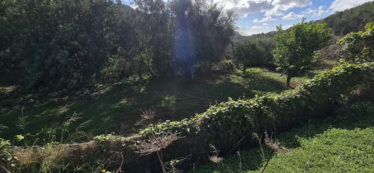 Casa rústica con jardín en venta en Andratx pueblo, imagen 6