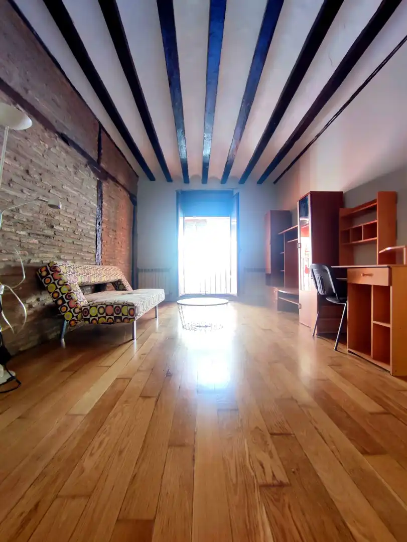 Sala d'estar de Estudi en venda en Casco Antiguo