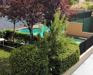 Swimming pool of Flat to rent in  Madrid Capital  with Air Conditioner, Heating and Storage room