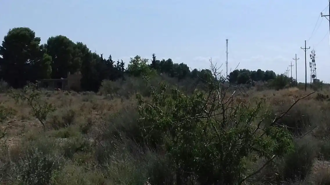 Rural land for sale in PARTIDA PLA DE LA CERDERA, imagen 7