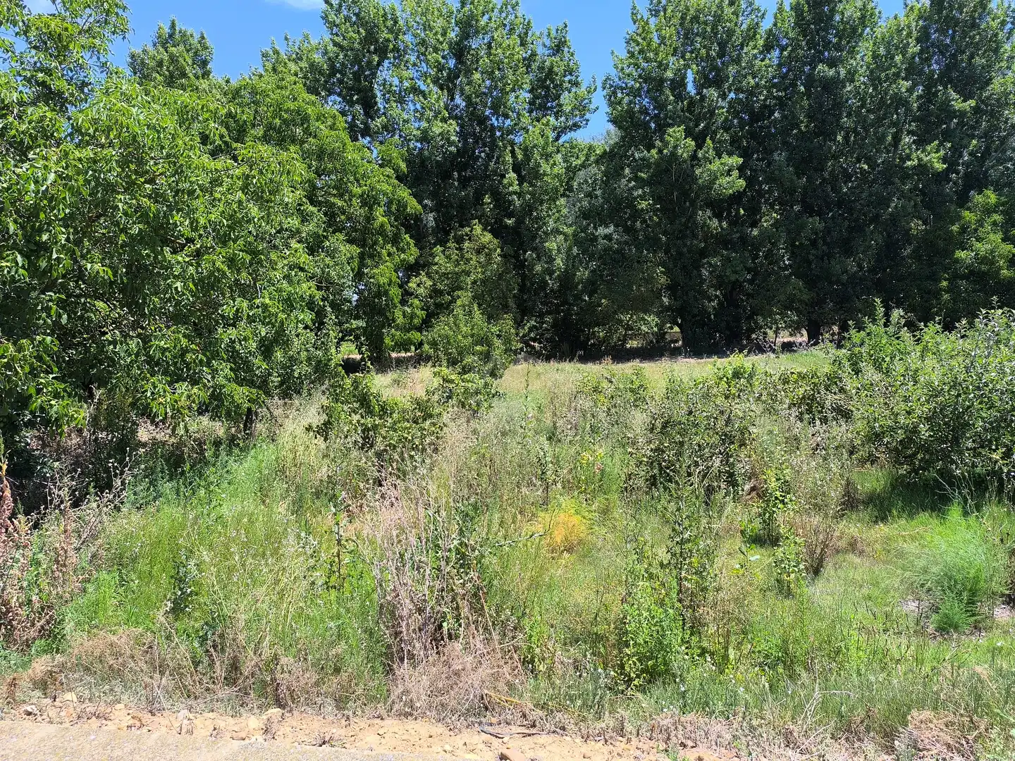 Residencial en venta en San Millán de los Caballeros