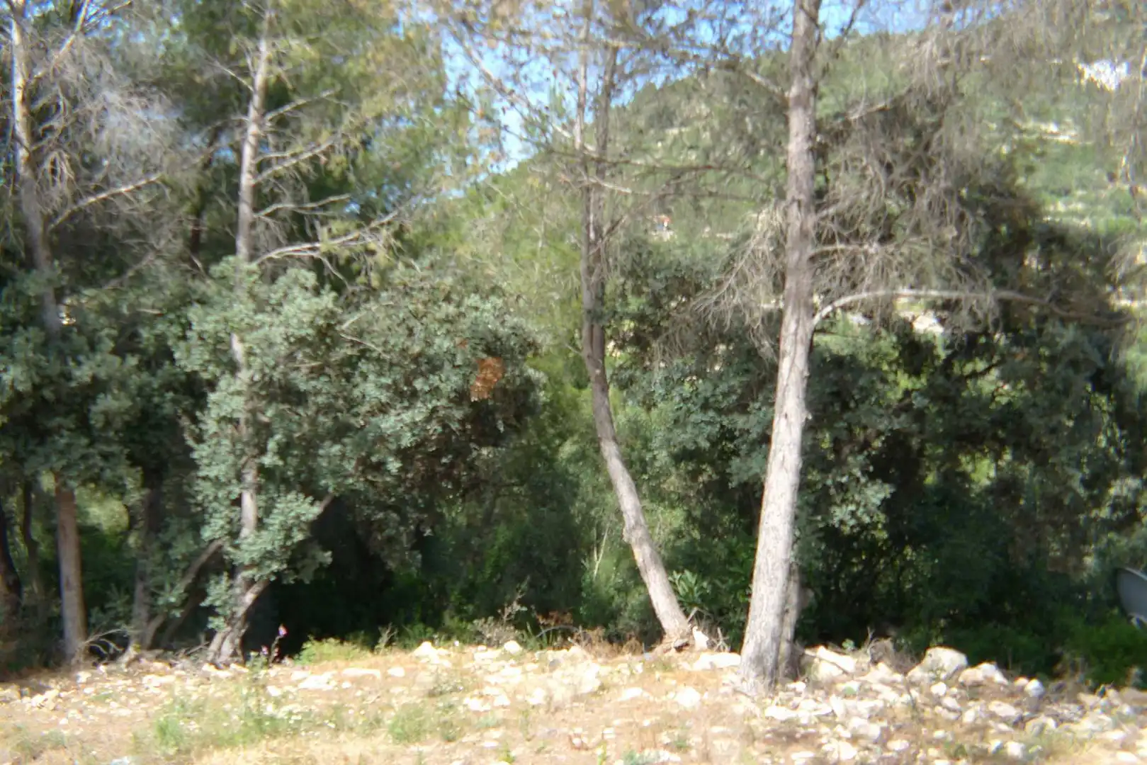 Terreny residencial en venda a Alcalalí