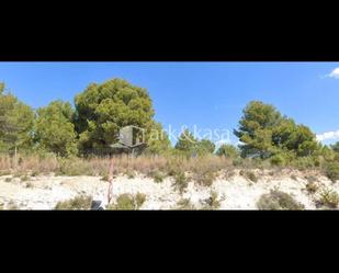 Industrial land for sale in  Valencia Capital