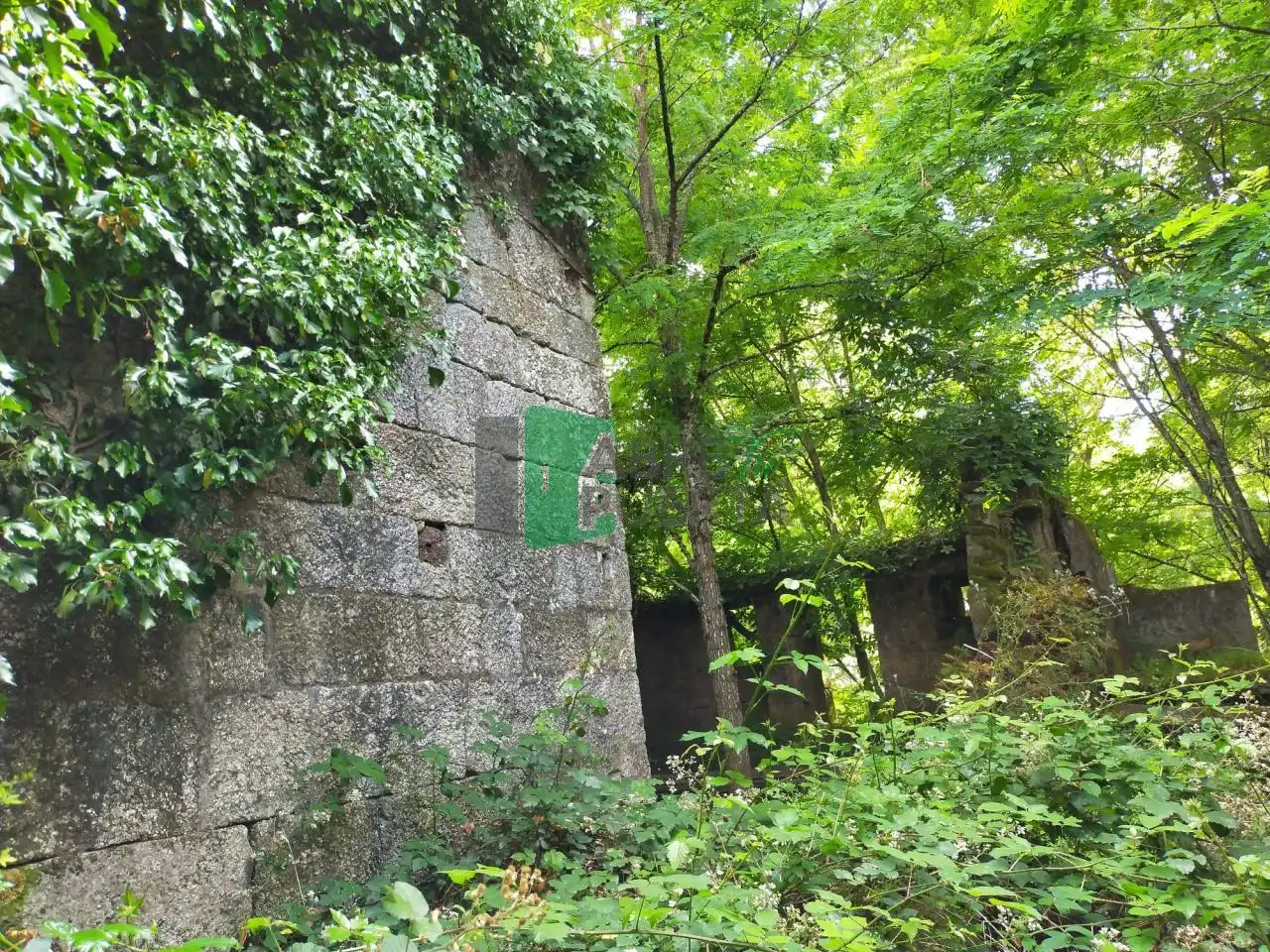 Haus mit Garten zum Verkauf in Leiro, imagen 5