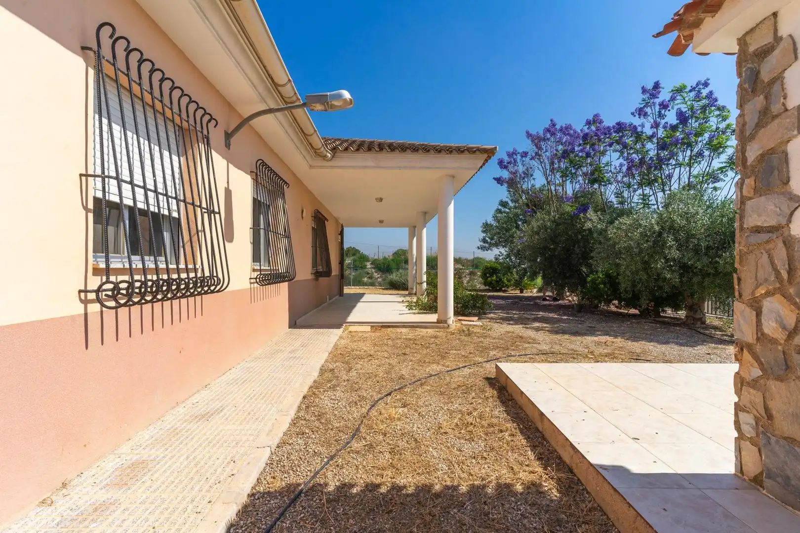 Vista exterior de Finca rústica en venta en Abarán con Terraza y Amueblado