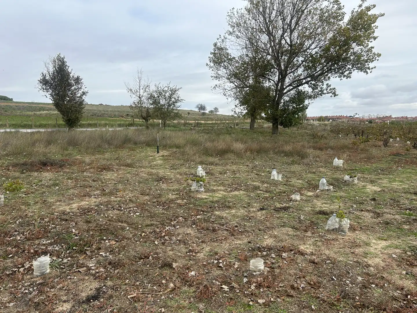 Rural land for sale in Laguna de Duero, imagen 7